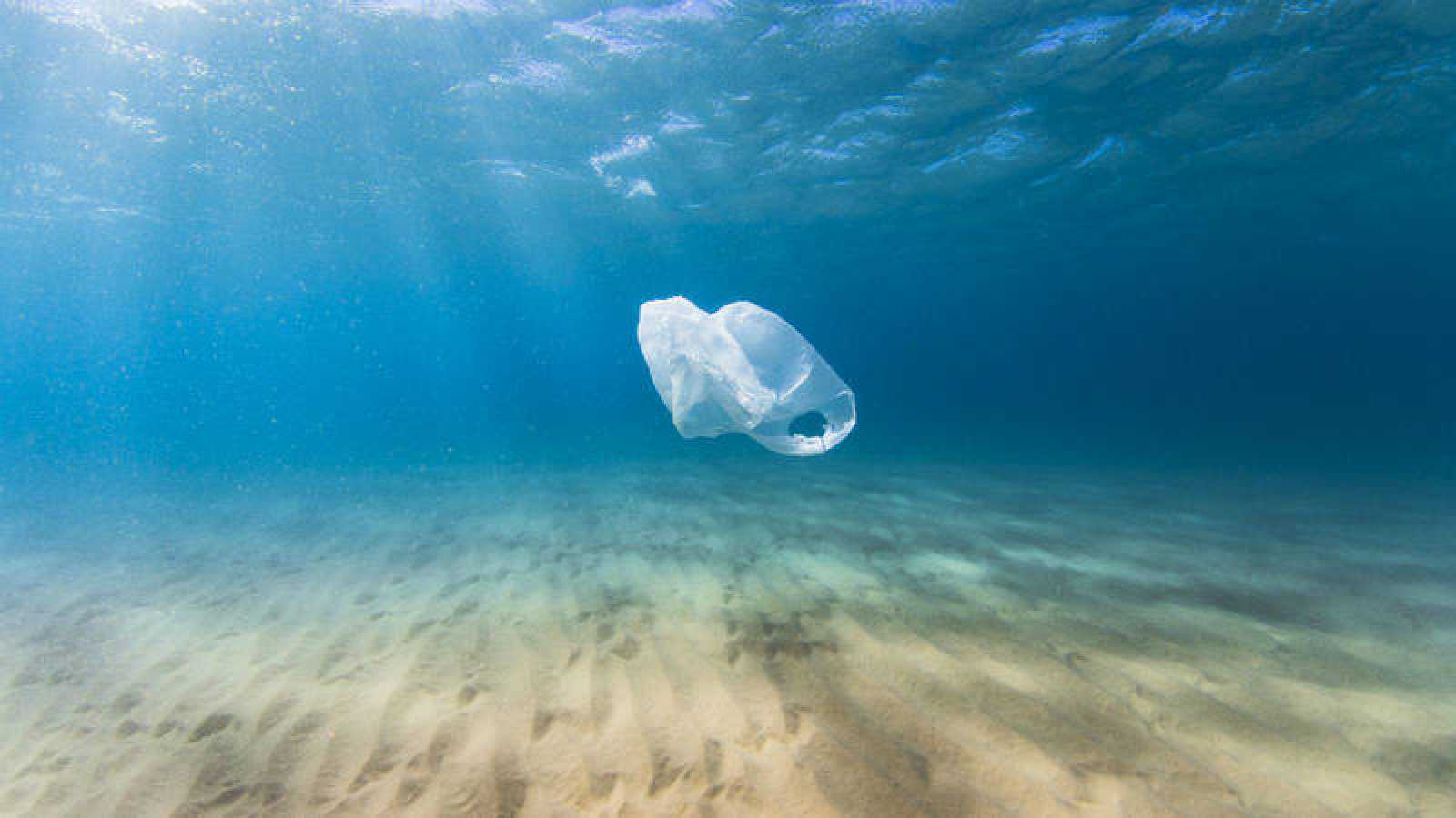 Susty se compromete con la lucha del plástico de un solo uso 
